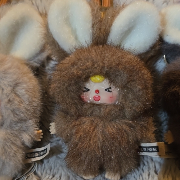 Baby Three Super Mini Bunny - BUNDLE - Picture 6 of 13